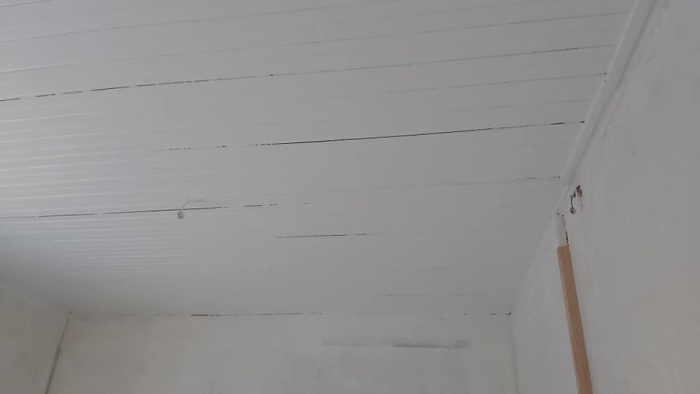 travaux de peinture de plafond à villorceau 45190