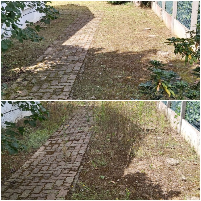 chantier rafraîchissement de jardin à Beaugency